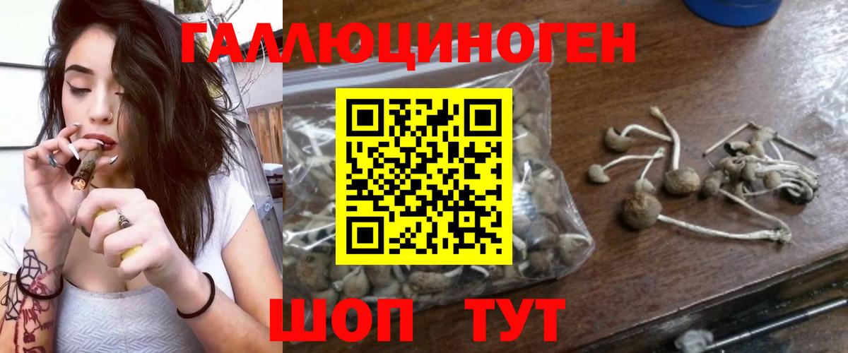 Псилоцибиновые грибы Magic Shrooms Ликино-Дулёво